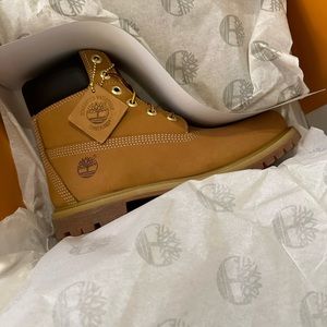 Brand new in box Timberland Premium 6” boot